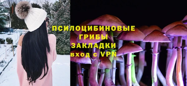 сатива Майский