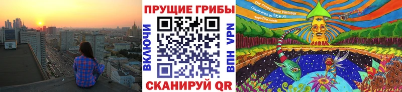 купить закладку  Красково  OMG   Псилоцибиновые грибы Magic Shrooms 